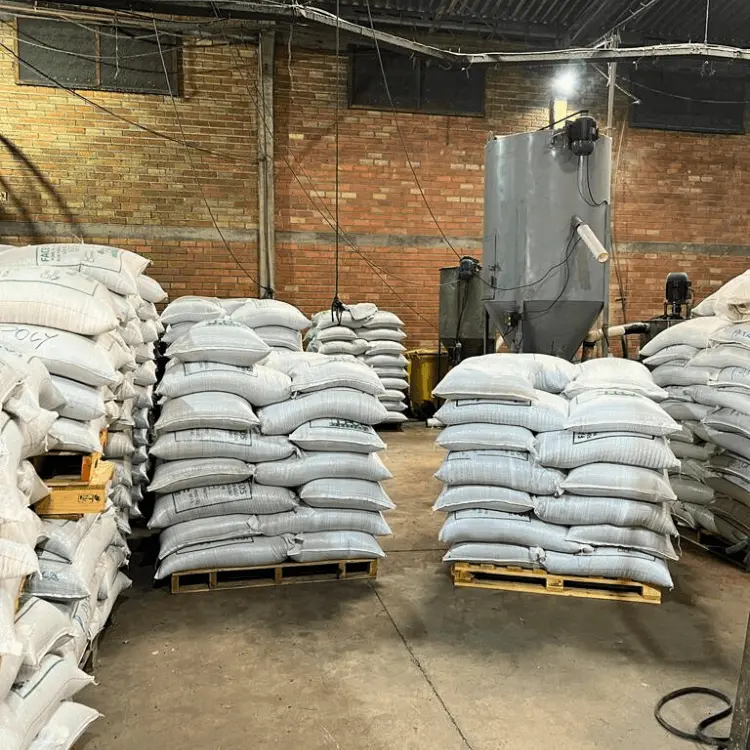 11-fotografia-faceplasticos